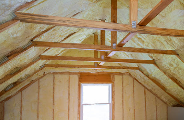 Best Insulation Installation Services in San Juan, TX