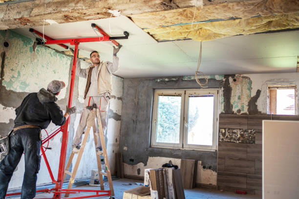 Best Insulation Maintenance and Repair in San Juan, TX